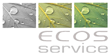 Logo a colori della Ecos Service S.rl. per lo smaltimento rifiuti Roma®